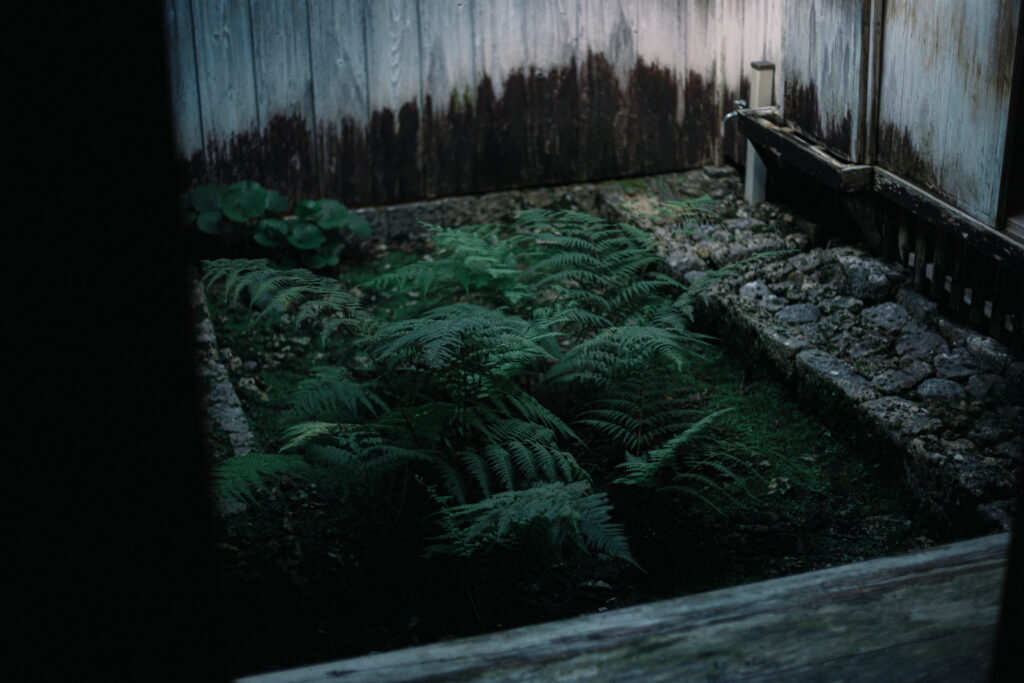 識名園｜沖縄県那覇市｜風景・ランドスケープ｜建築写真・竣工写真・インテリア写真｜11