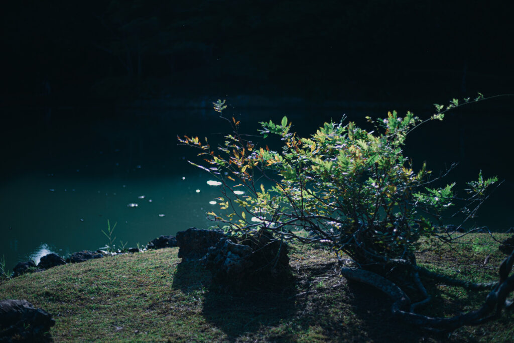 識名園｜沖縄県那覇市｜風景・ランドスケープ｜建築写真・竣工写真・インテリア写真｜19