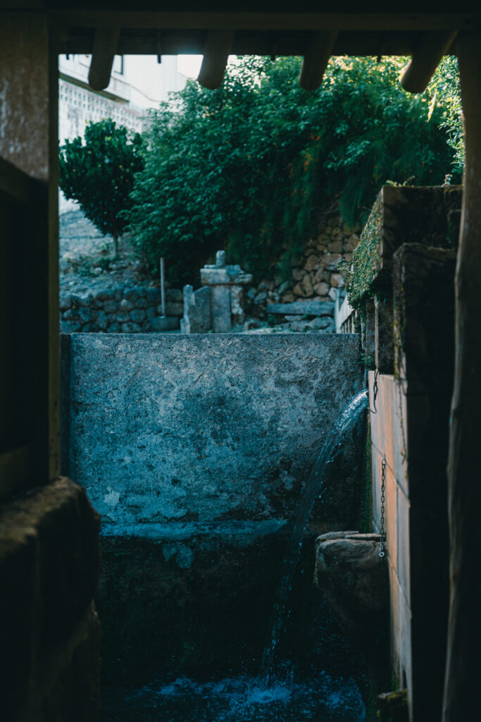 仲村渠樋川｜沖縄県南城市｜自然・ランドスケープ｜建築写真・竣工写真・インテリア写真｜08